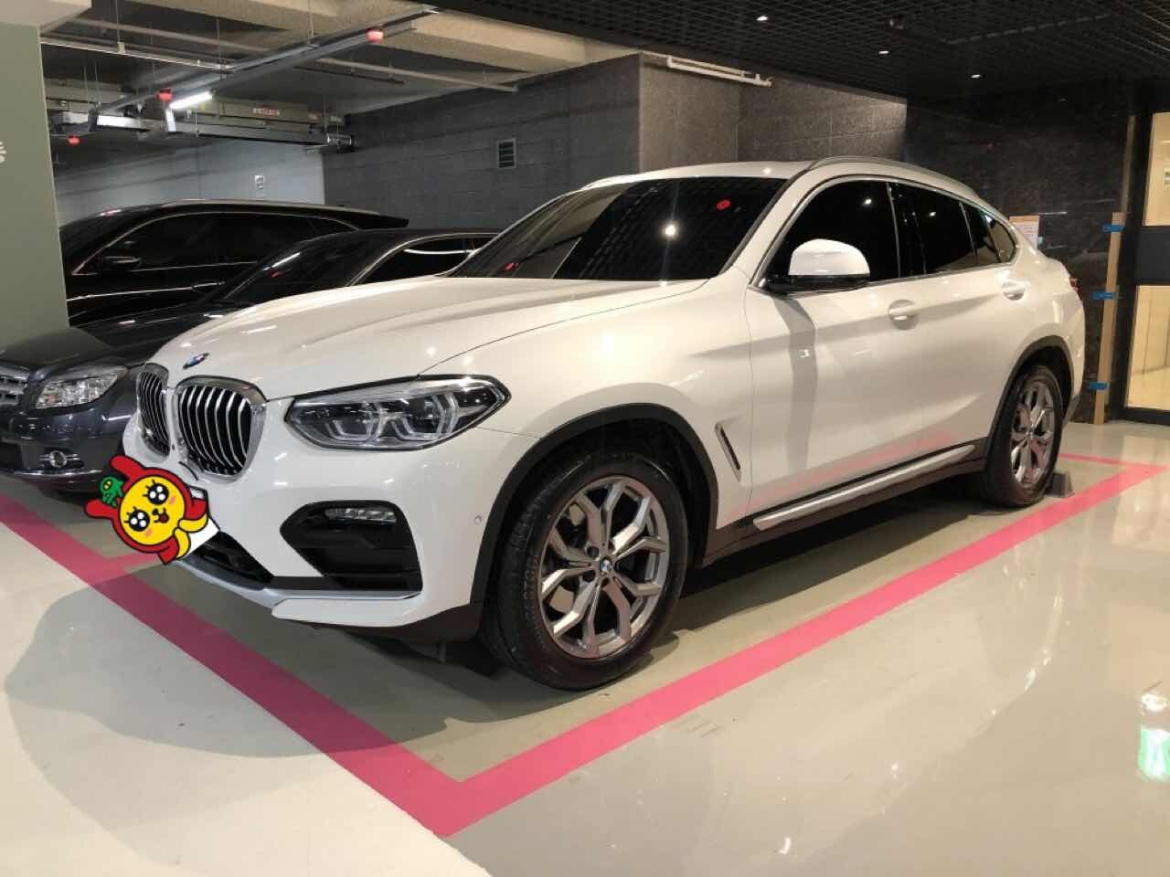BMW X4 20i xDrive xLine 이미지1