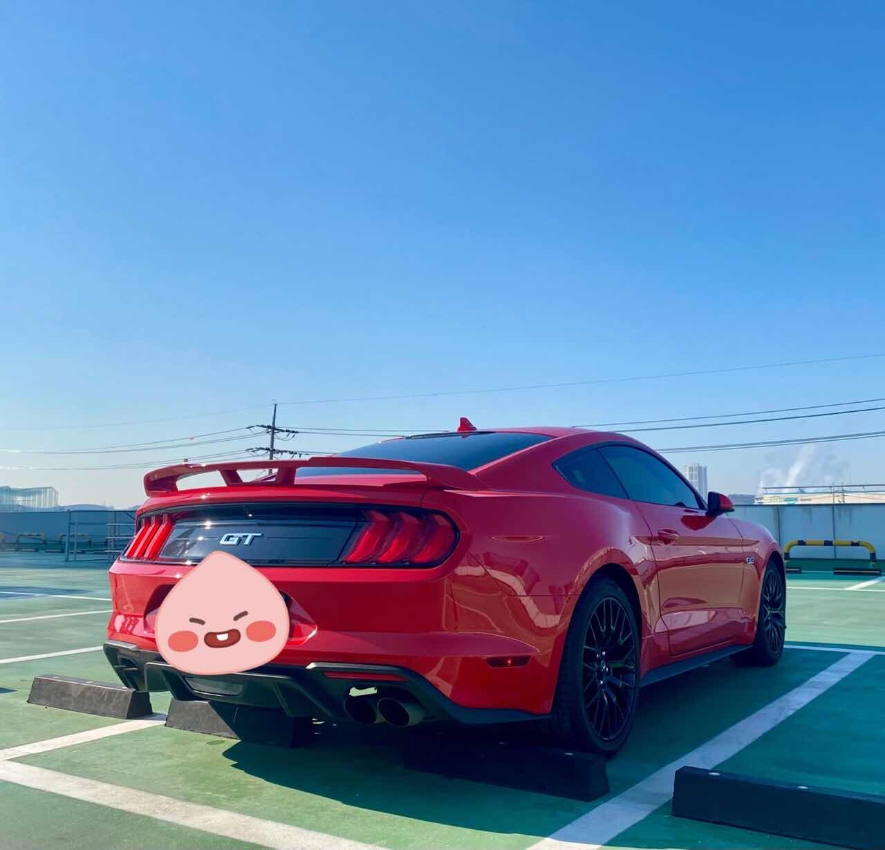 포드 머스탱 5.0 GT 프리미엄 쿠페 이미지3