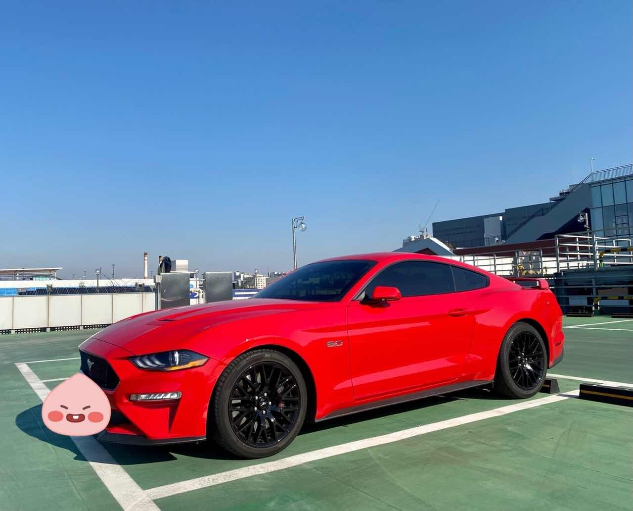 포드 머스탱 5.0 GT 프리미엄 쿠페 게시글 썸네일