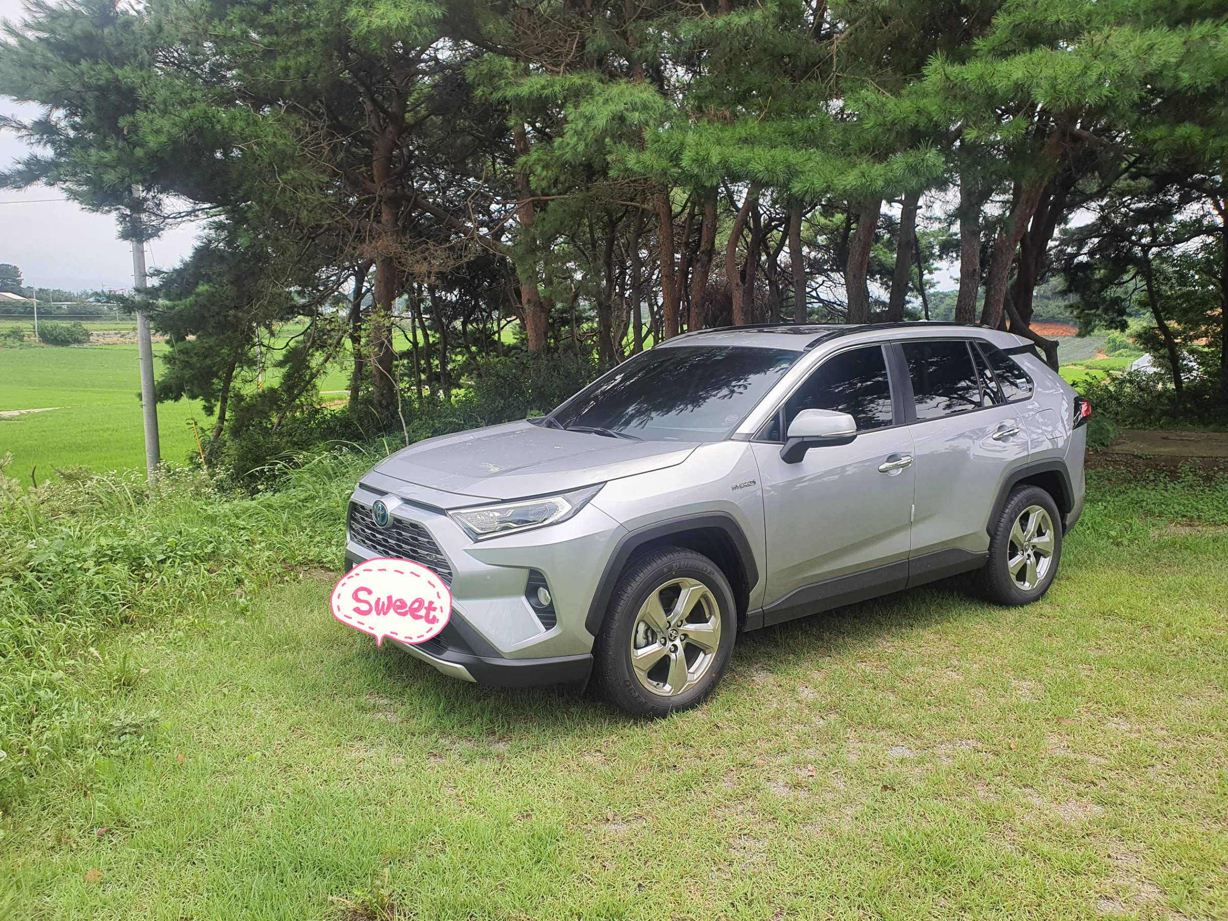 토요타 RAV4 하이브리드 AWD 게시글 썸네일