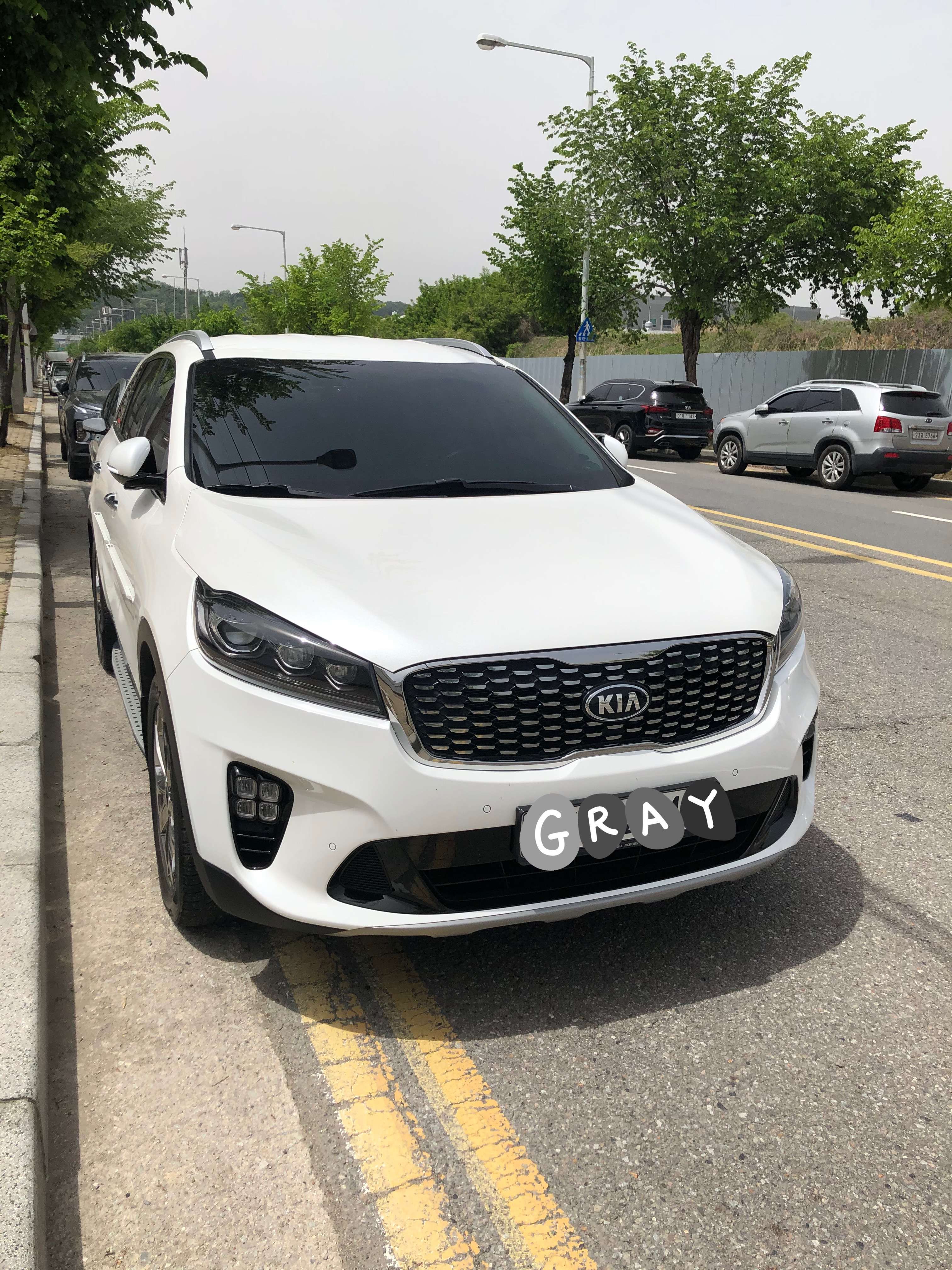 기아 쏘렌토 R2.2 디젤 노블레스 스페셜 5인승 2WD 게시글 썸네일