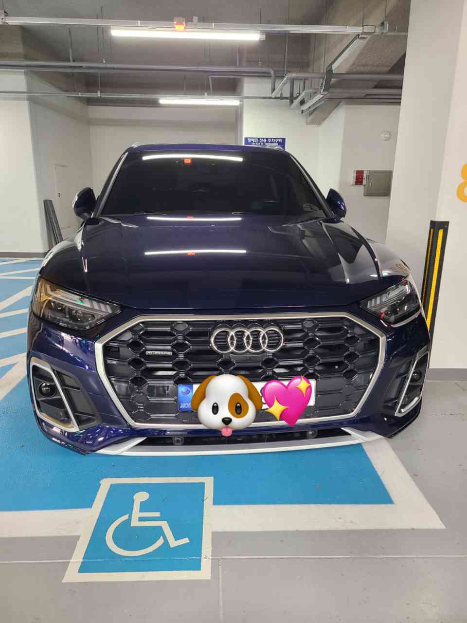 아우디 Q5 45 TFSI 콰트로 프리미엄 [2C5] 게시글 썸네일