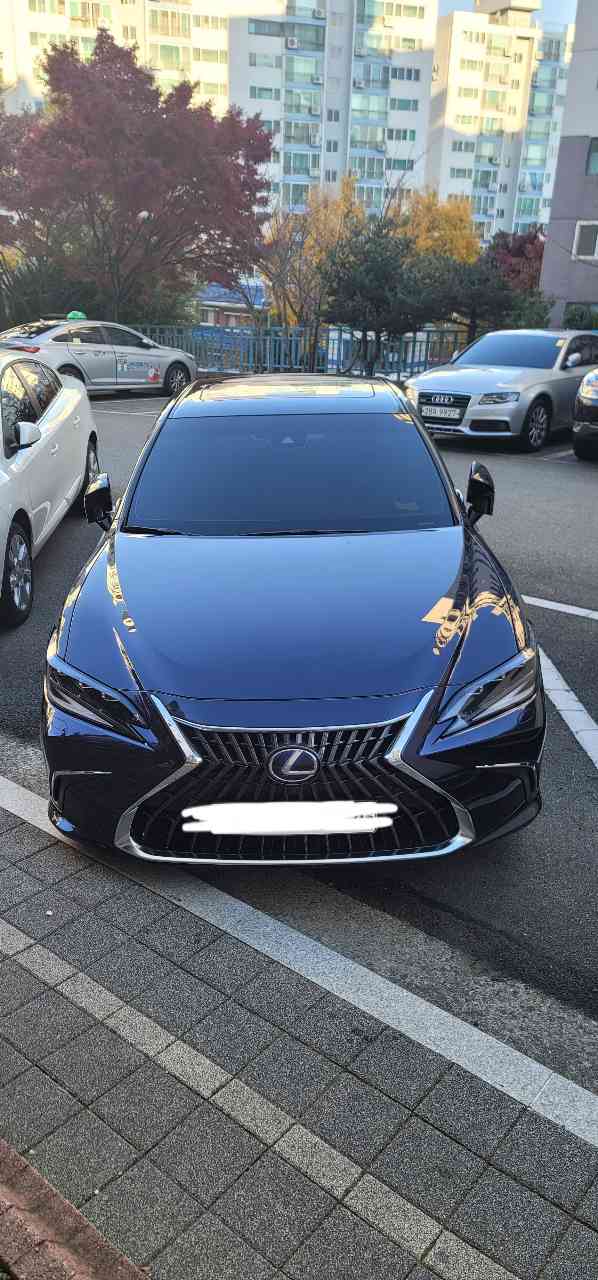 렉서스 ES 300h 이그제큐티브 게시글 썸네일