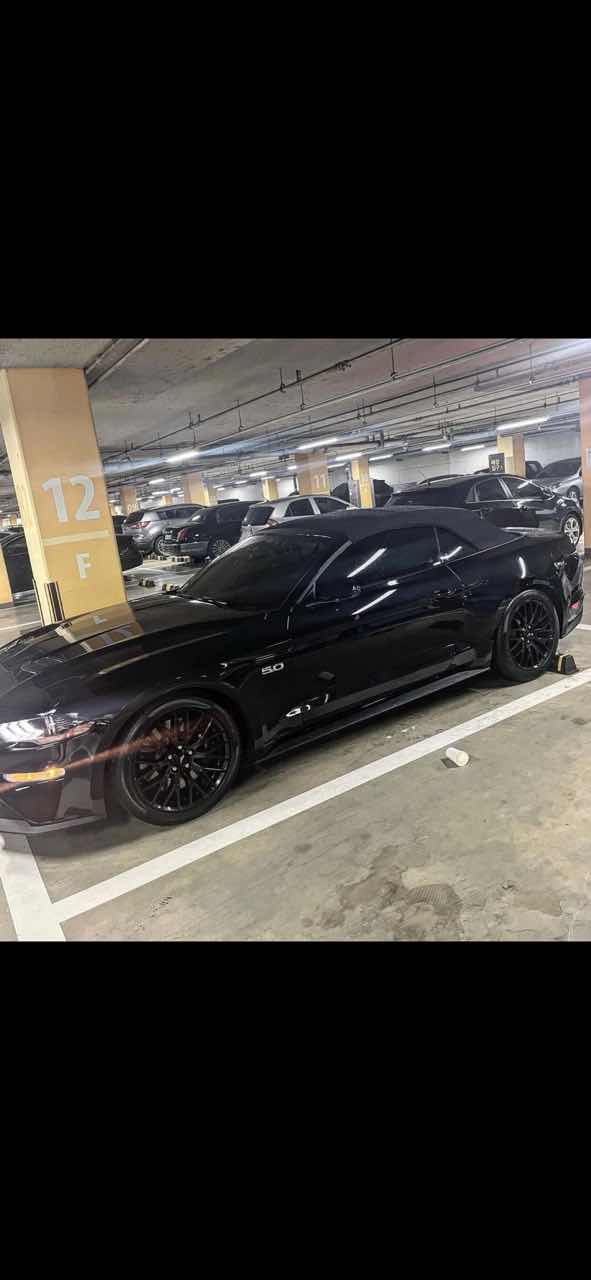 포드 머스탱 5.0 GT 프리미엄 컨버터블 썸네일 이미지