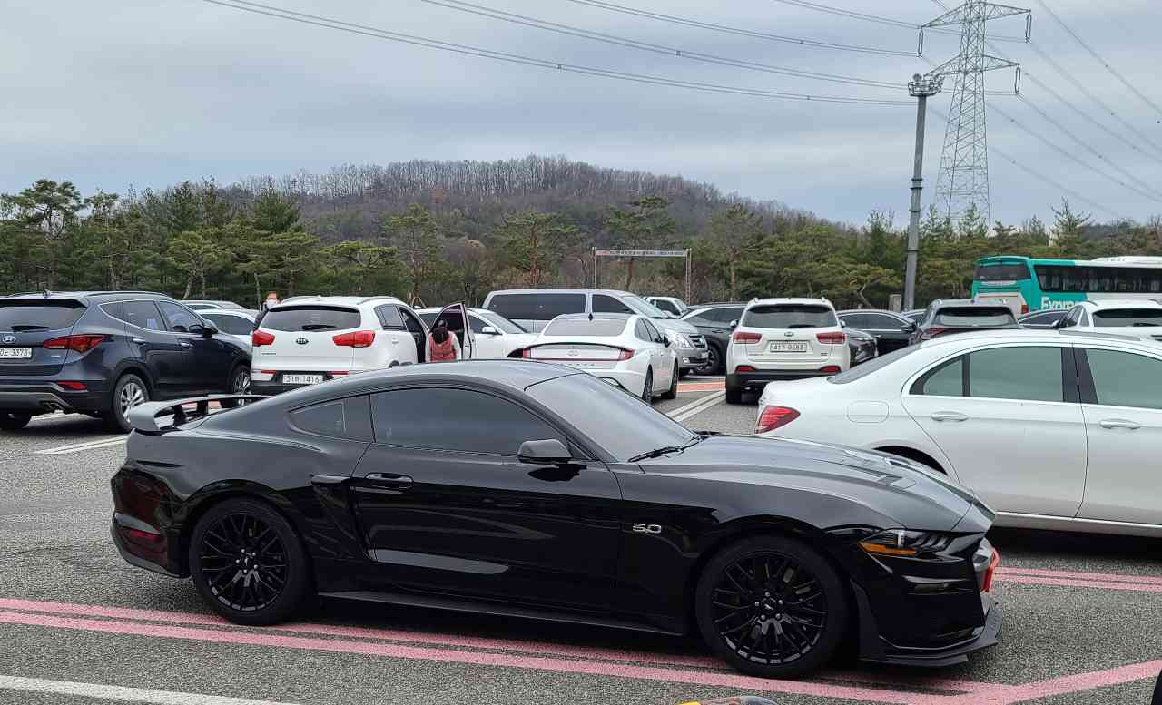 포드 머스탱 쿠페 5.0L GT 프리미엄 썸네일 이미지