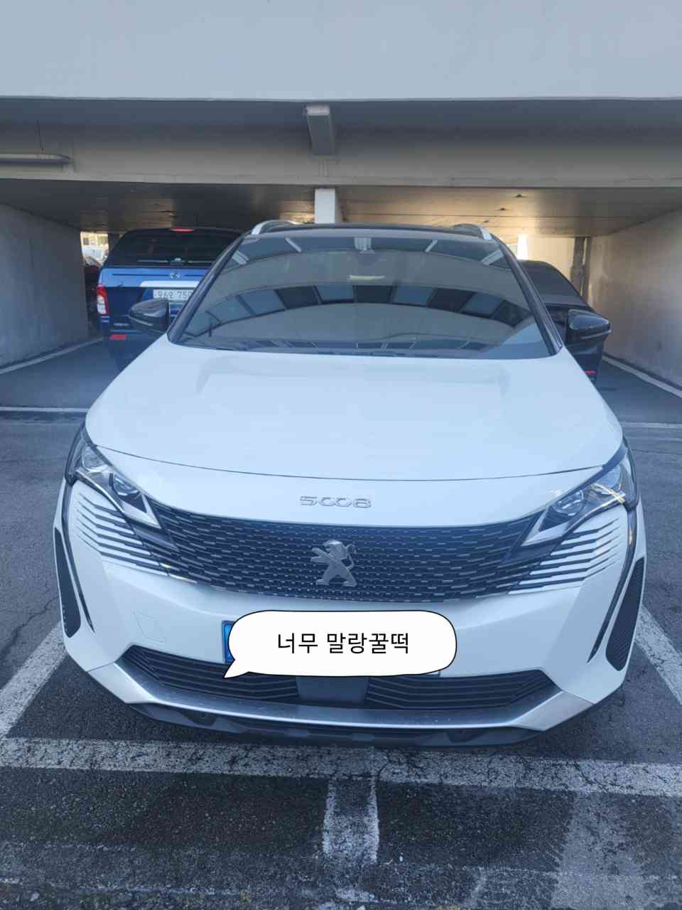오너가 올린 차량 사진