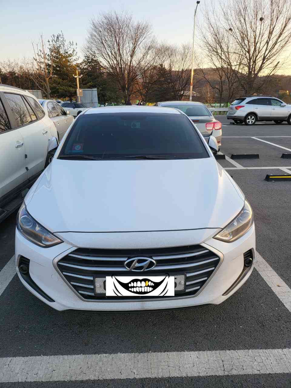 현대 아반떼 가솔린 1.6L 밸류 플러스 썸네일 이미지