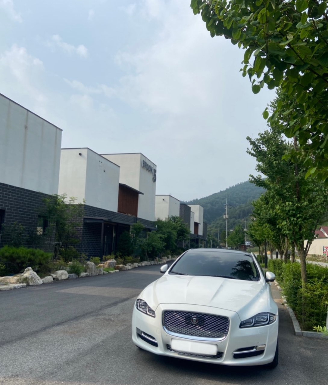 오너가 올린 차량 사진