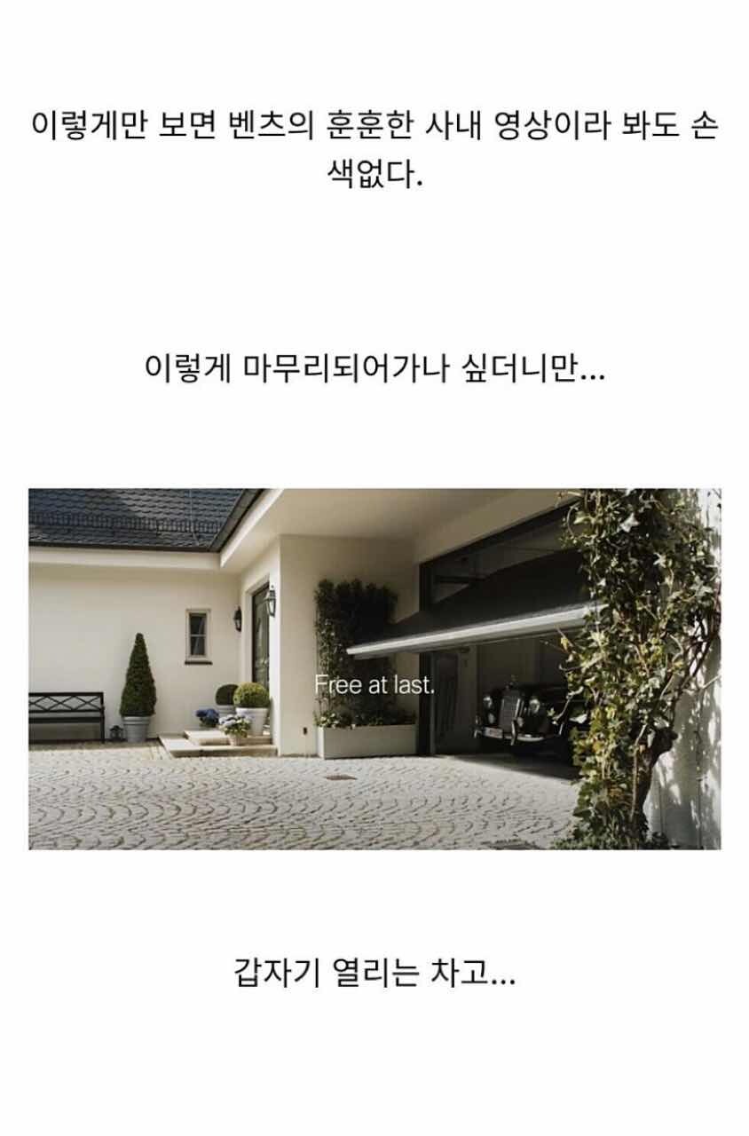 벤츠 회장의 은퇴식 jpg 이미지6