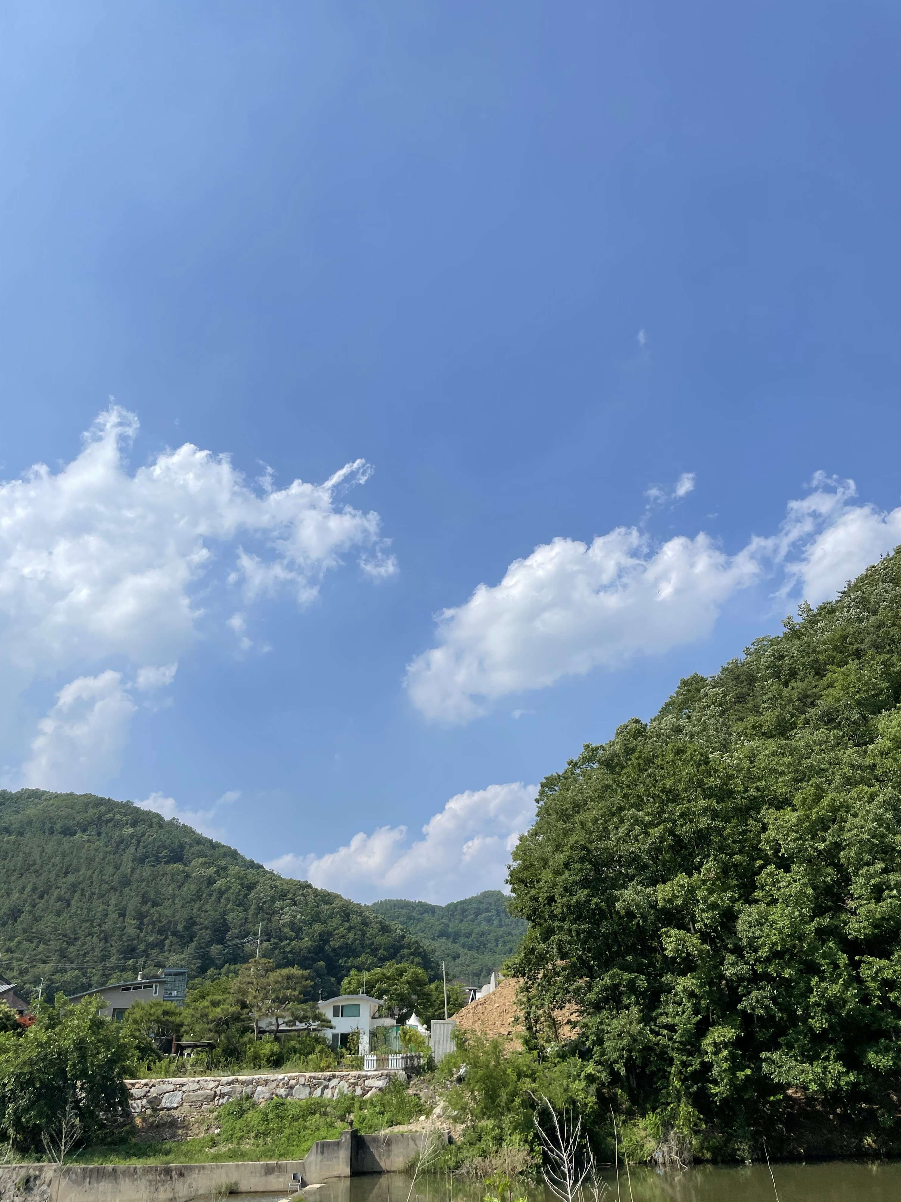 오늘 금요일이네요 게시글 썸네일