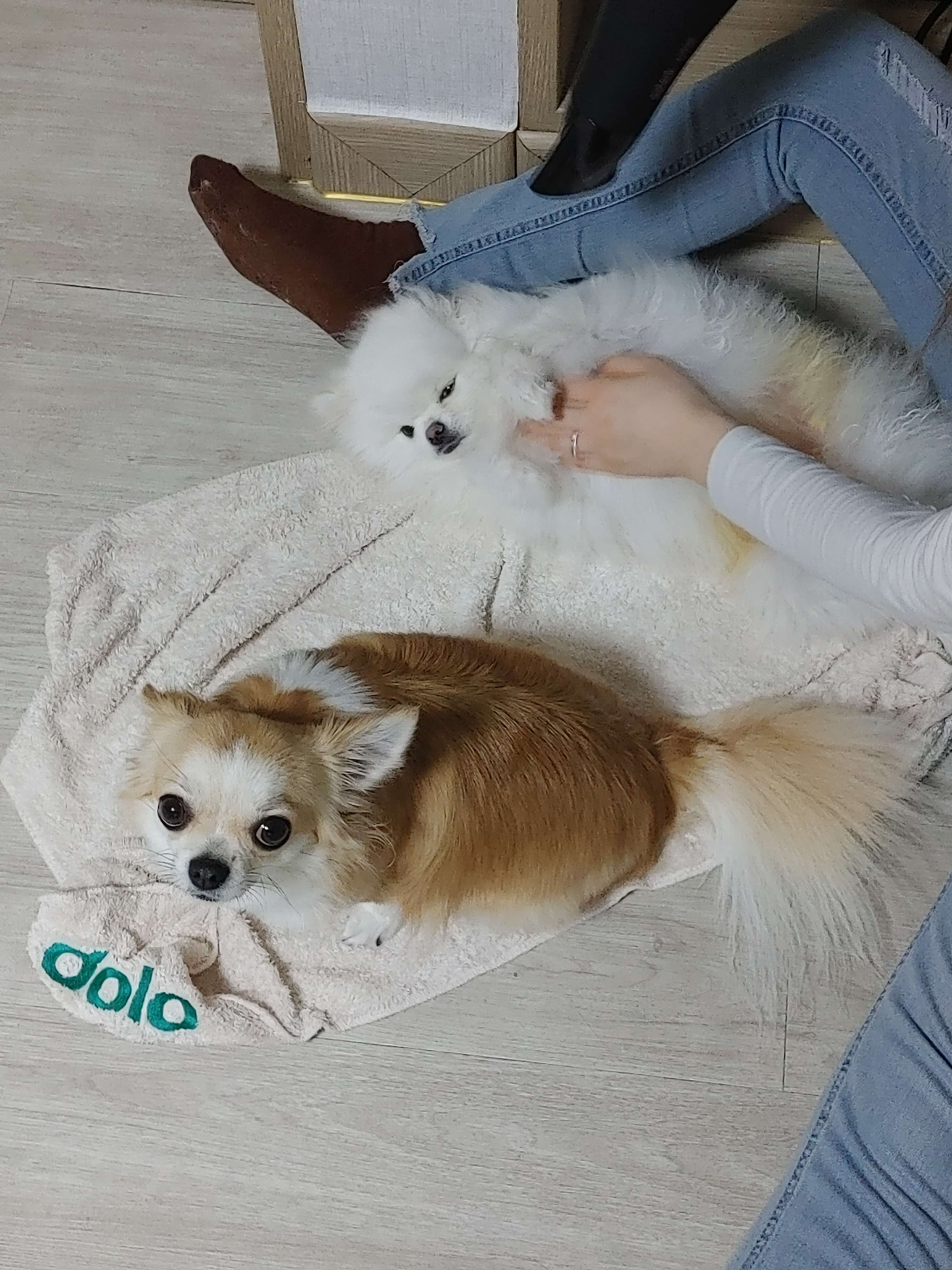 기변병 이 자식! 게시글 썸네일