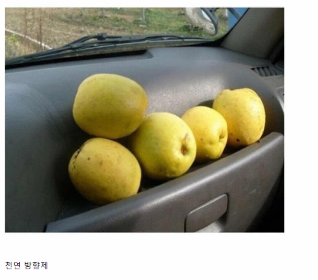 옛날 아빠차 특징 jpg  게시글 썸네일