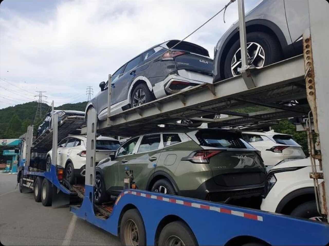 스포티지 전시차 오늘부터 풀리나보네요  이미지4