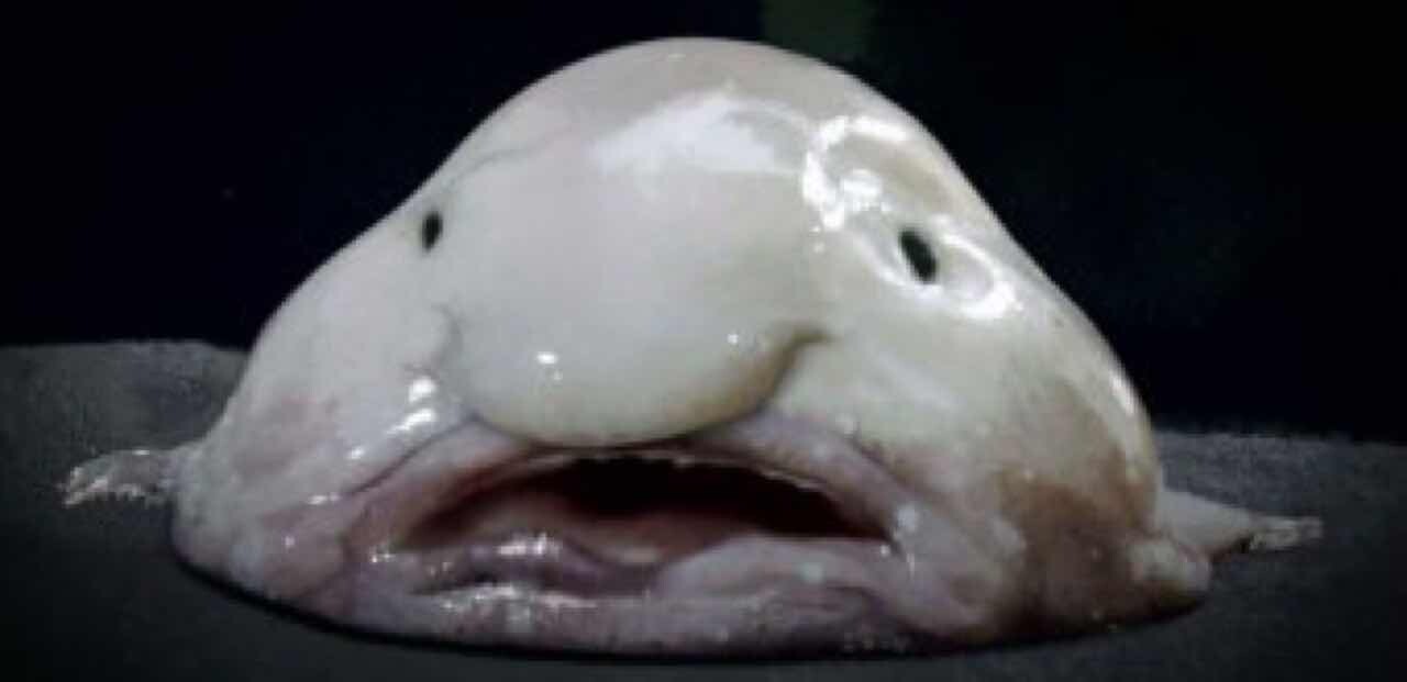 댓글 이미지