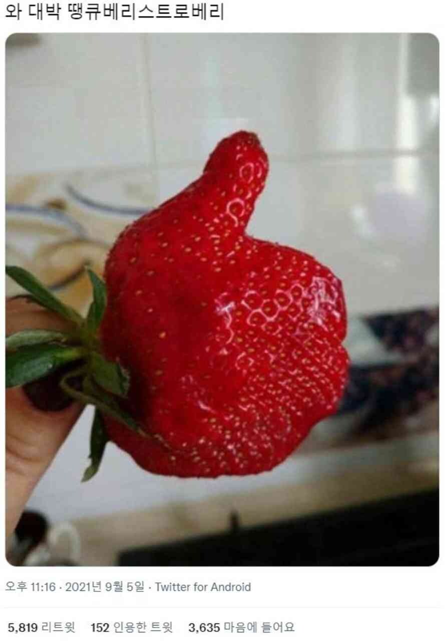 댓글 이미지