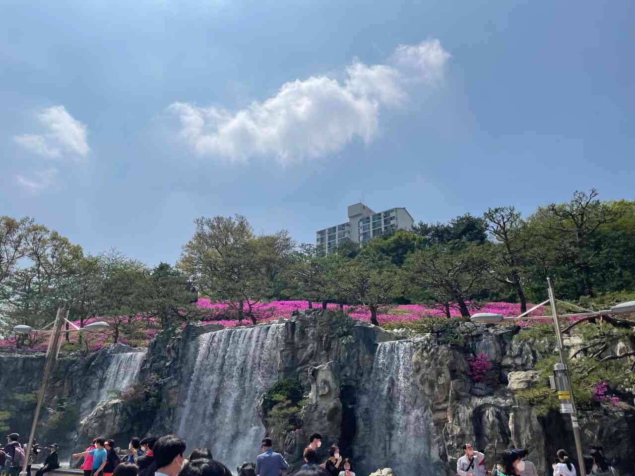 철쭉이 절정이네요 이미지7