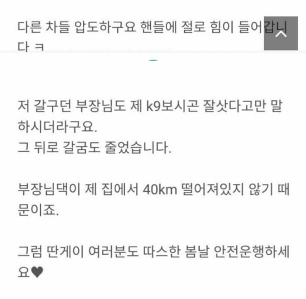 K9이 벤츠보다 훨씬 좋습니다 이미지5