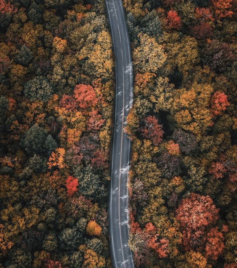 communityImage