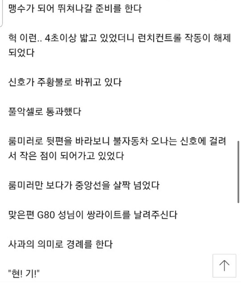 (유머) “나는 G70 오너다” 이미지2