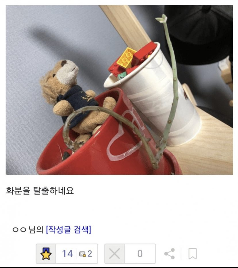 [유머] 오늘도 평화로운 식물 갤러리 이미지3