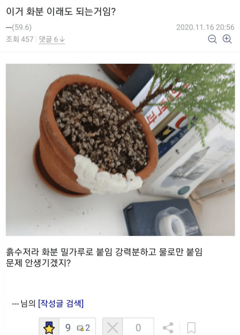 [유머] 오늘도 평화로운 식물 갤러리 이미지6