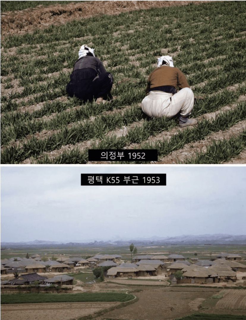 (비차량) 컬러 사진으로 복원된 1950년대 한국 이미지4