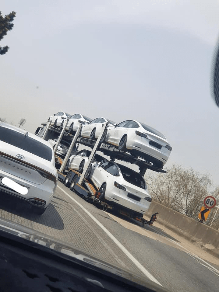 양산된 클론들 어디론가 끌려가는중... 이미지3