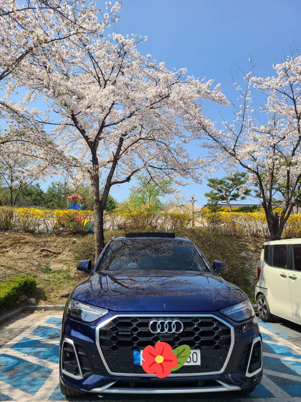 아우디 Q5 45 TFSI 콰트로 프리미엄 [2C5] 썸네일 이미지