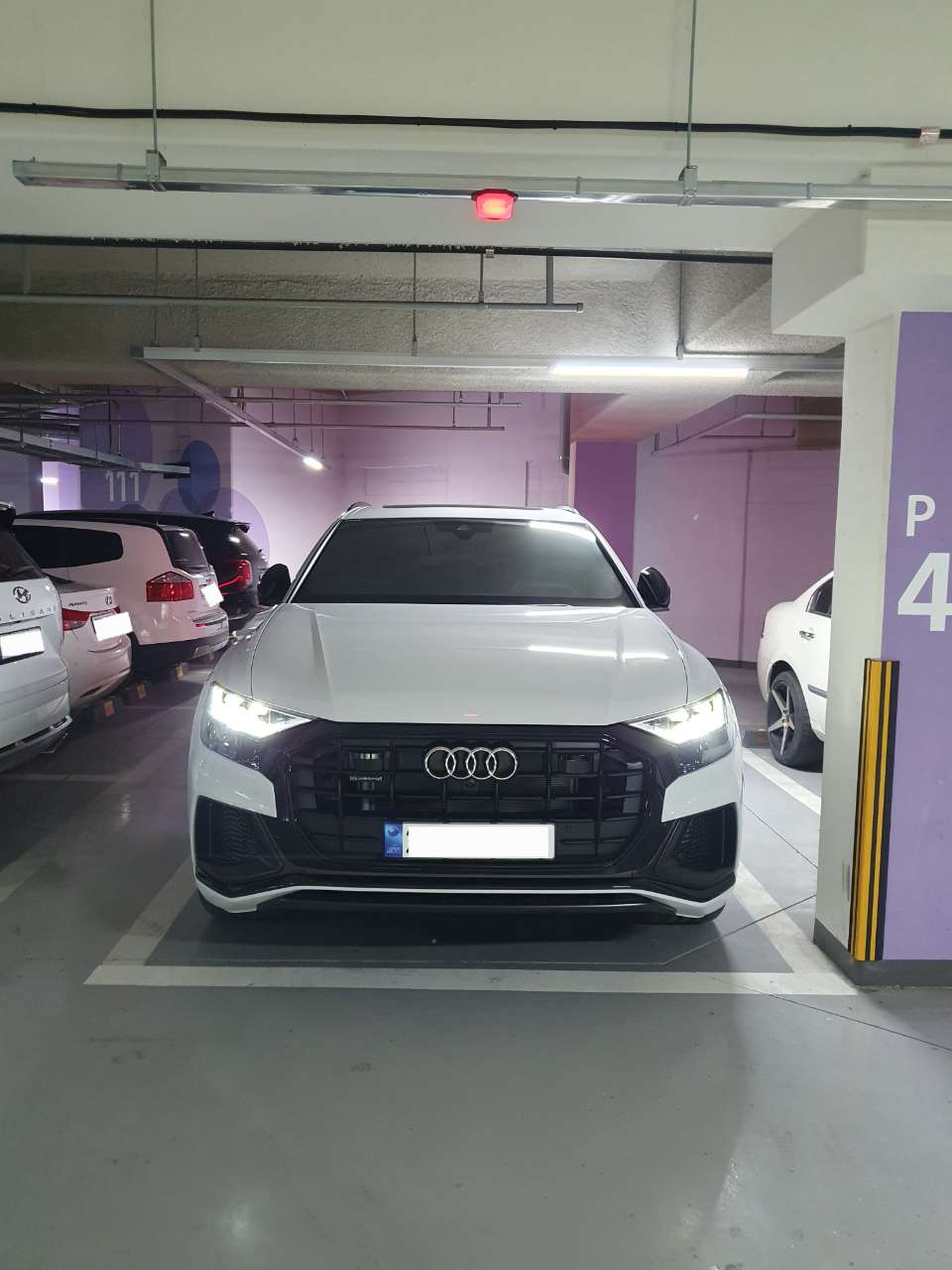 아우디 Q8 55 TFSI 콰트로 프리미엄 [2C5] 게시글 썸네일