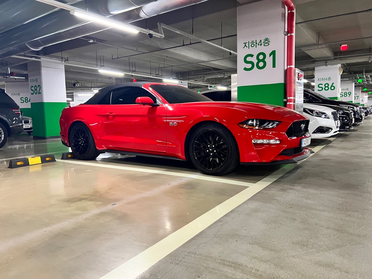 포드 머스탱 5.0 GT 프리미엄 컨버터블 썸네일 이미지