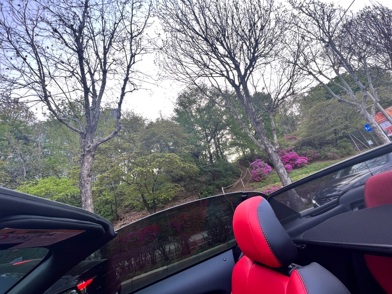 포드 머스탱 5.0 GT 프리미엄 컨버터블 썸네일 이미지
