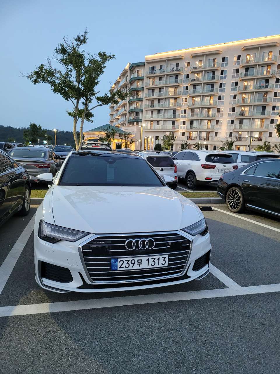 아우디 A6 40 TDI 콰트로 프리미엄 썸네일 이미지