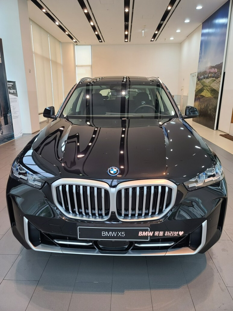 BMW X5 페리 전시차, 출고차 들어왔군요 ^^ 썸네일