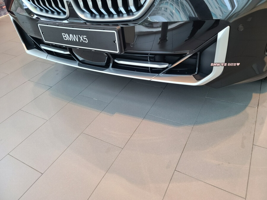 BMW X5 페리 전시차, 출고차 들어왔군요 ^^ 썸네일