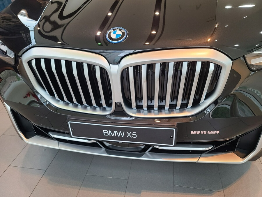 BMW X5 페리 전시차, 출고차 들어왔군요 ^^ 썸네일