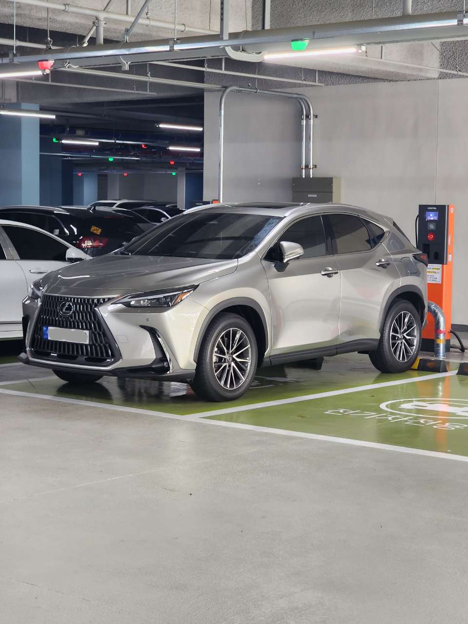 렉서스 NX 450h+ 프리미엄 게시글 썸네일