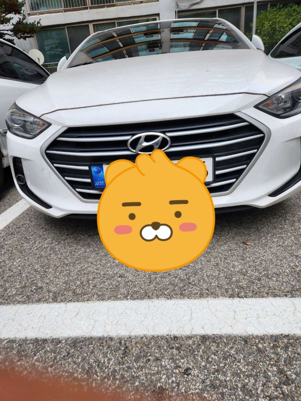 현대 아반떼 가솔린 1.6L 밸류 플러스 썸네일 이미지