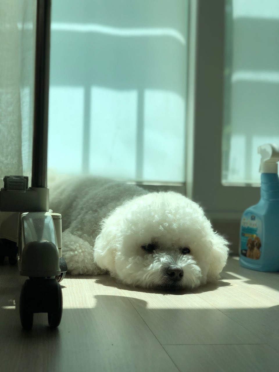아우디 Q7 45TFSI 썸네일 이미지