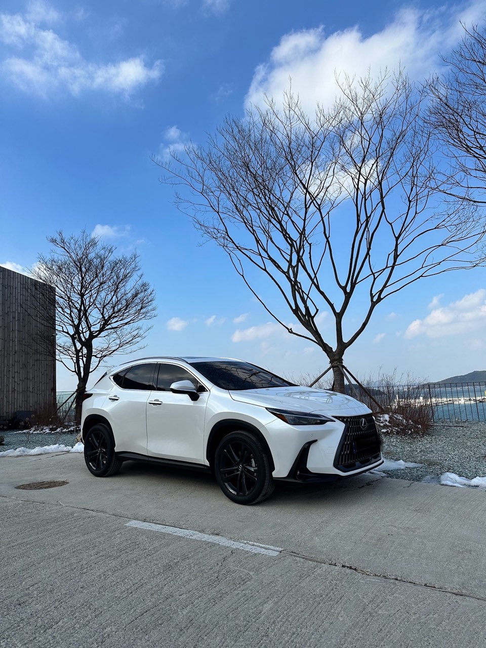 렉서스 NX 350h 프리미엄 썸네일 이미지