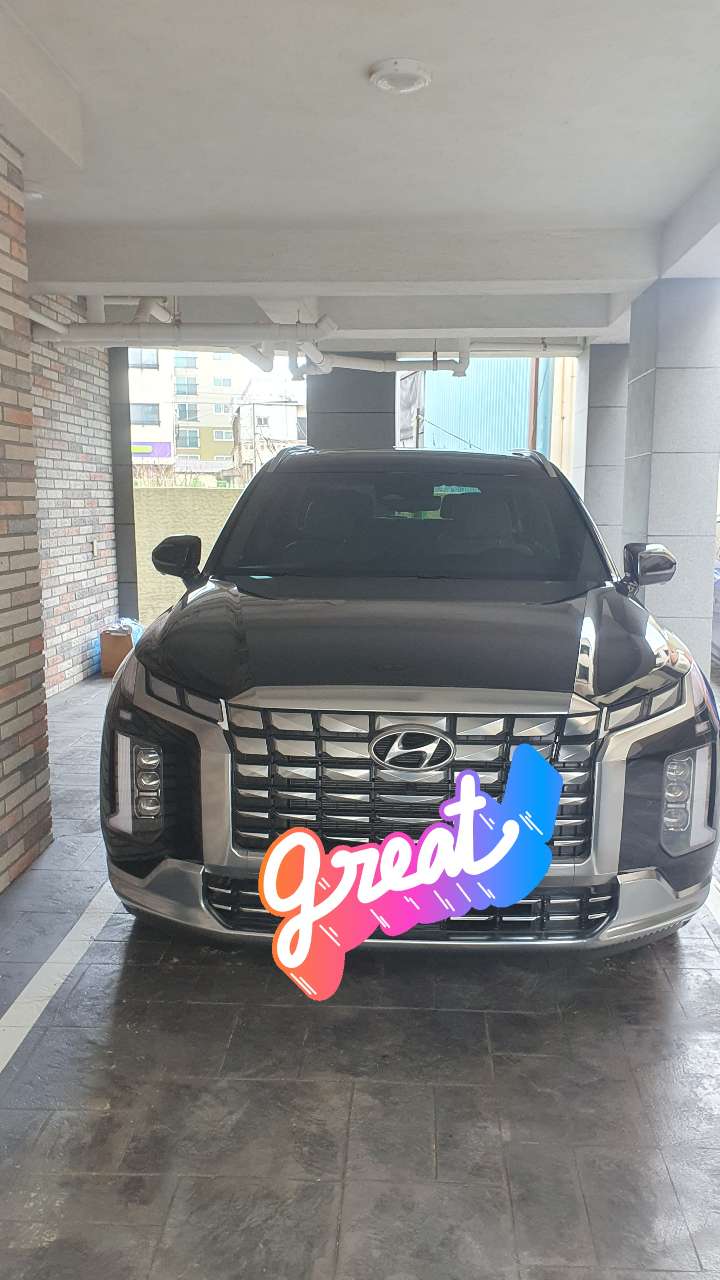 팰리세이드 가솔린 4WD 캘리그래피  썸네일 이미지