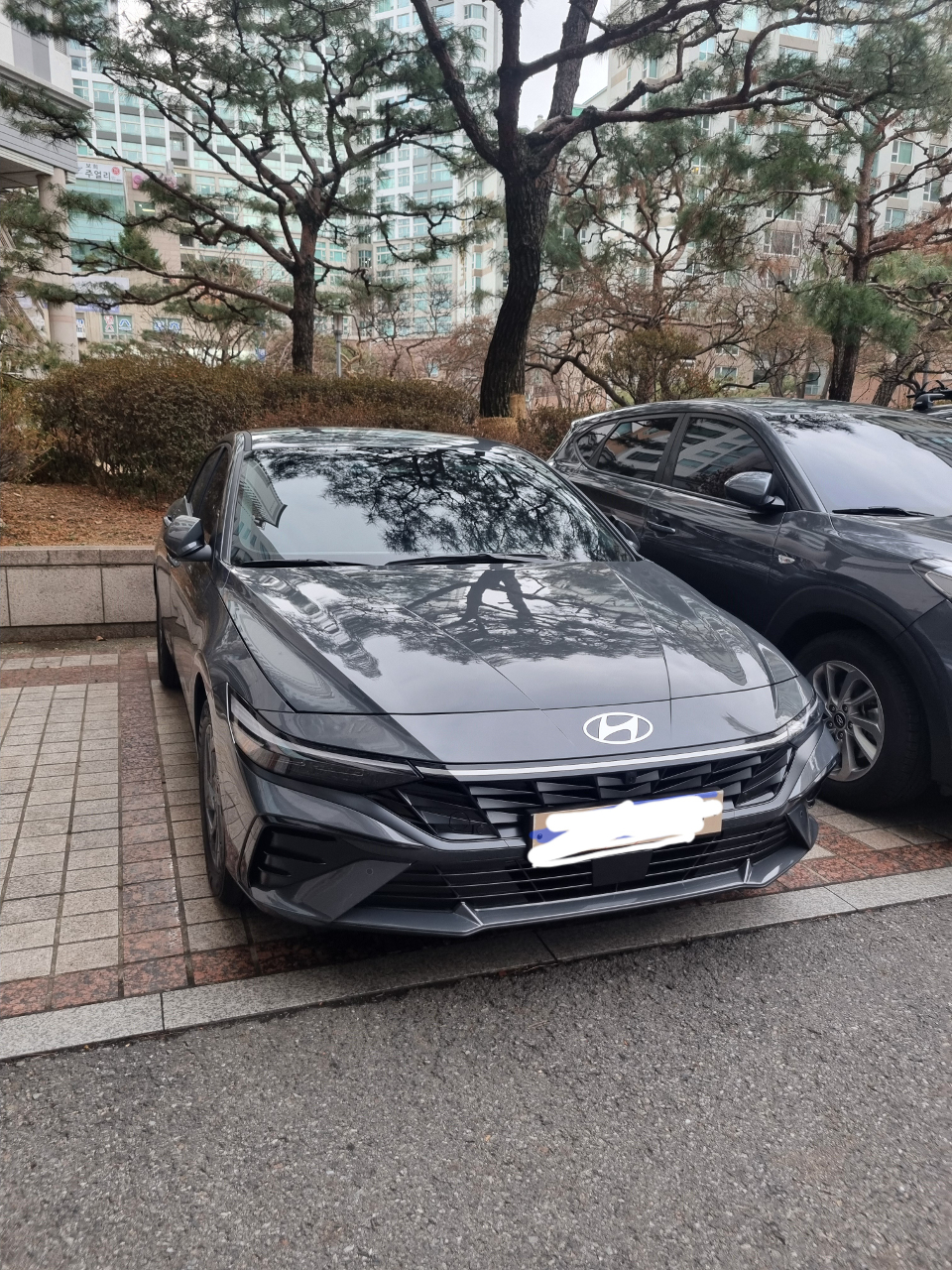 아반떼 최고입니다 게시글 썸네일
