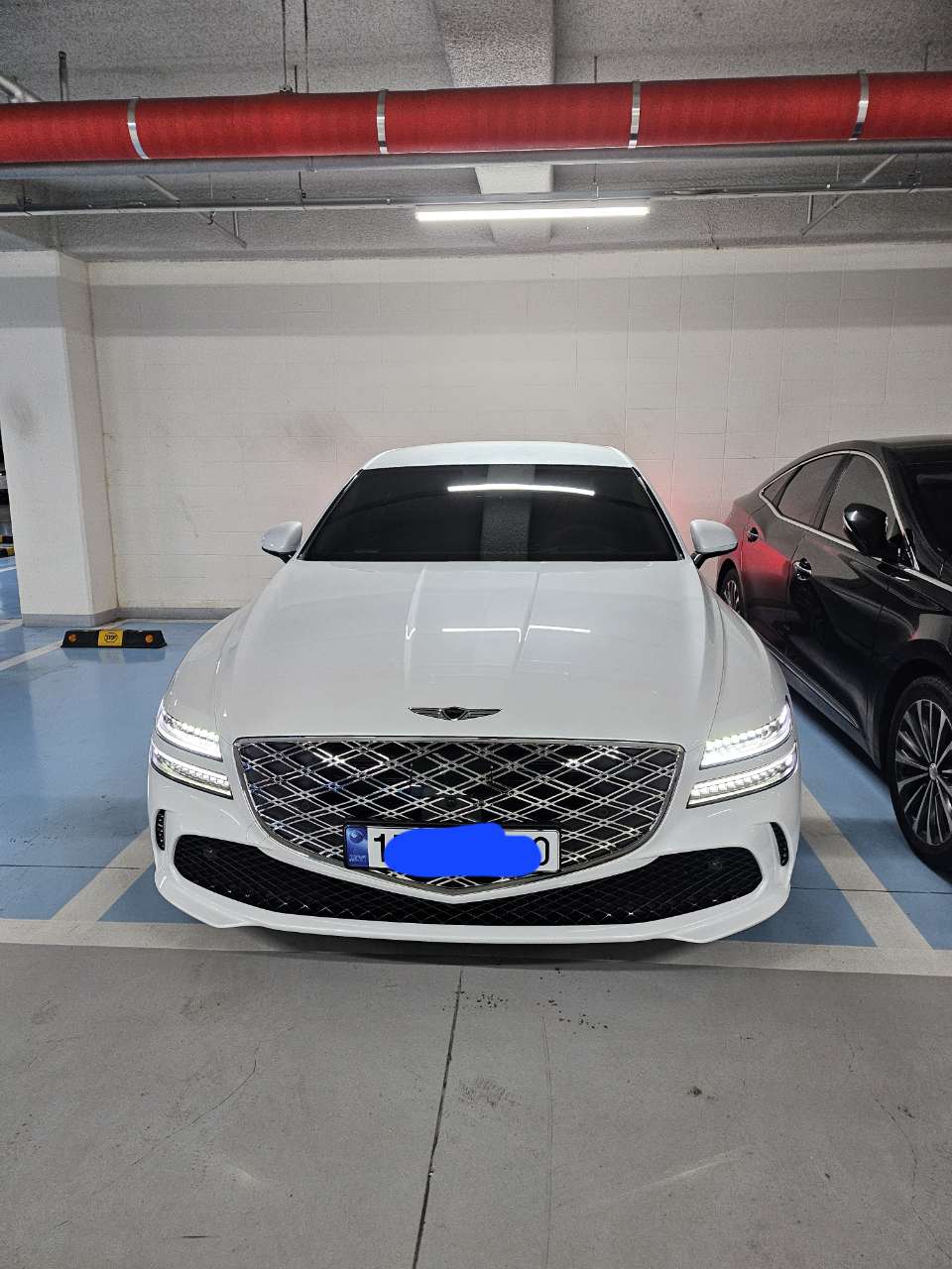 아버지 차 G80 페리 나왔네요 게시글 썸네일