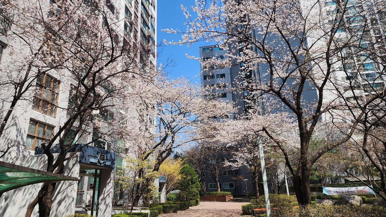 댓글 이미지