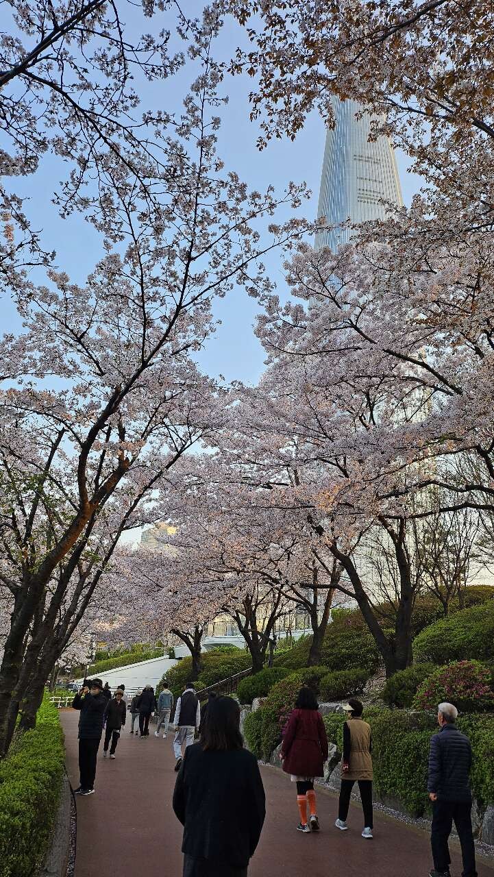 댓글 이미지