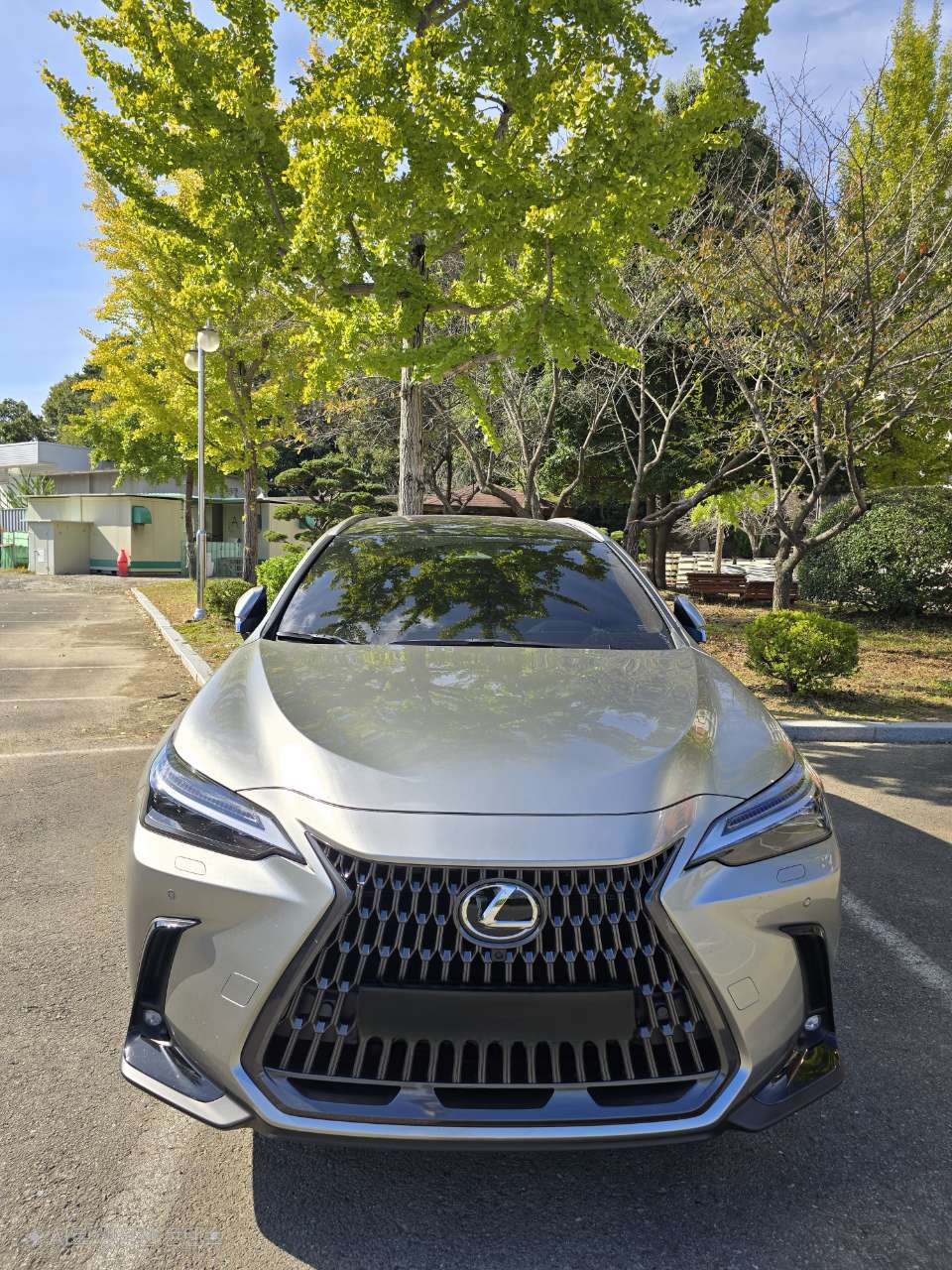 NX350h 리뷰 썸네일 이미지