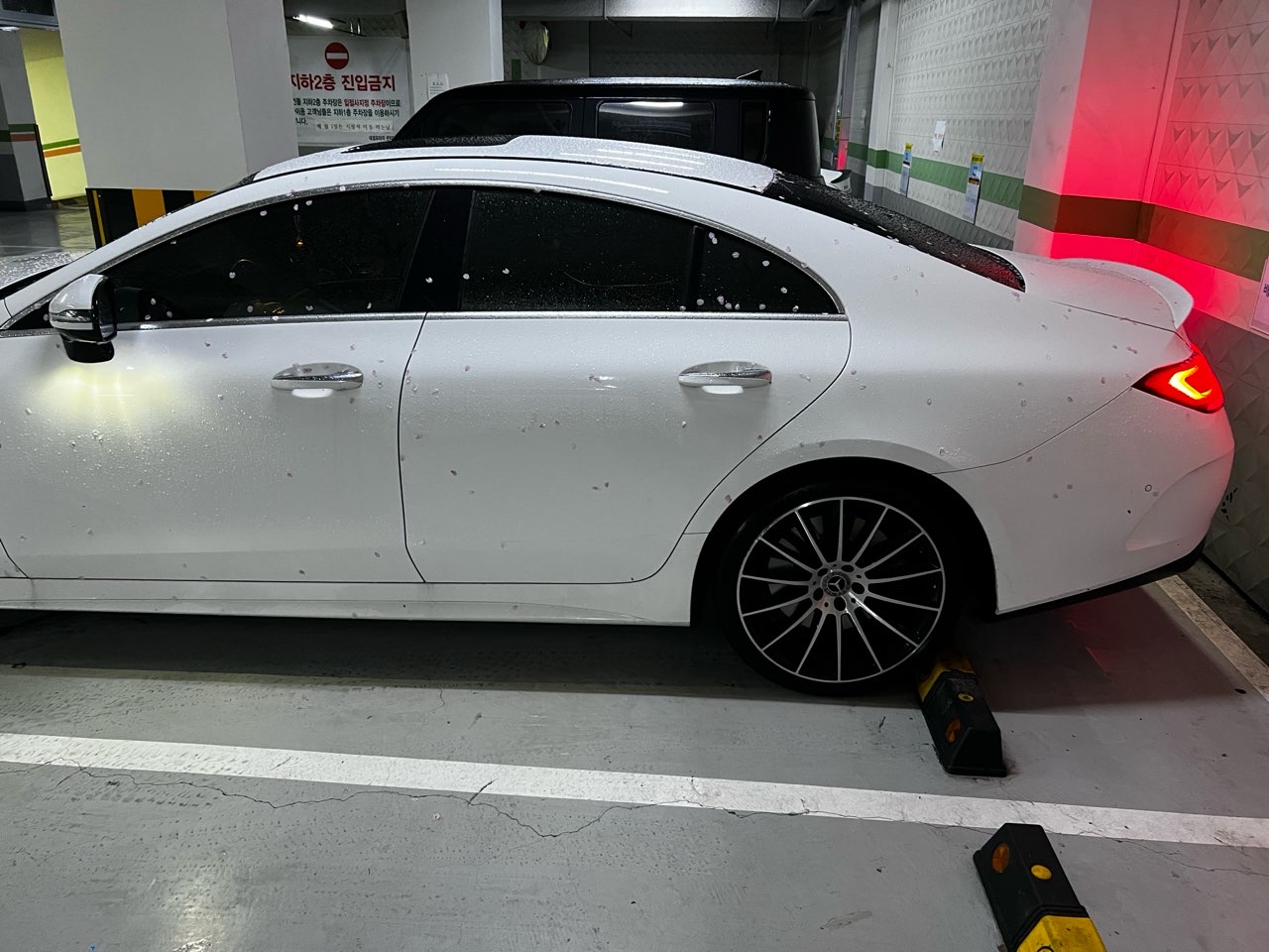 cls450 제 차량 이쁘죠 게시글 썸네일