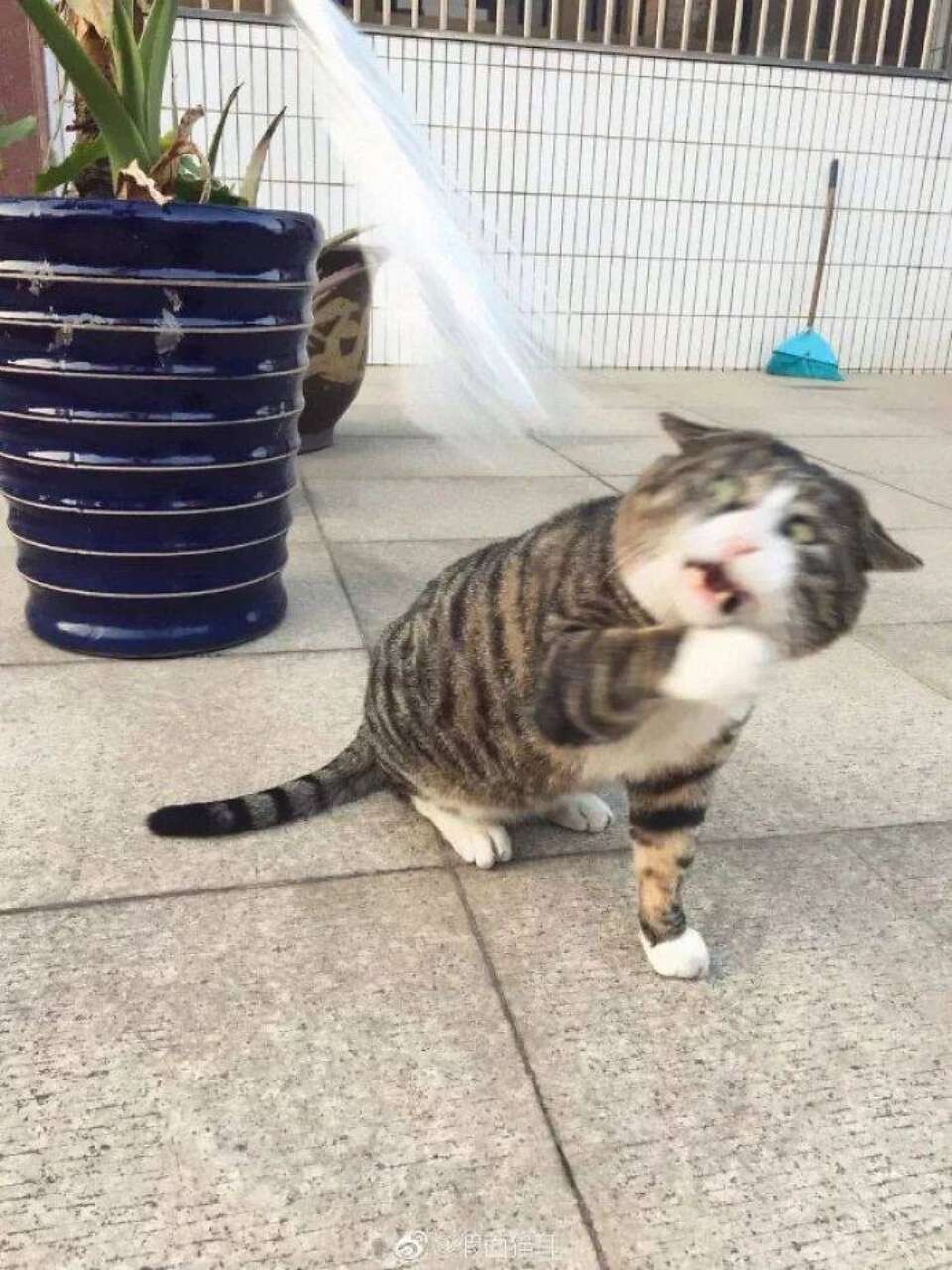 댓글 이미지