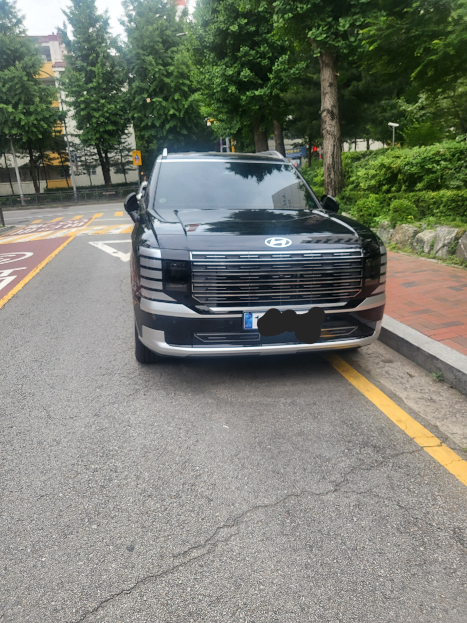 팰리최고 게시글 썸네일