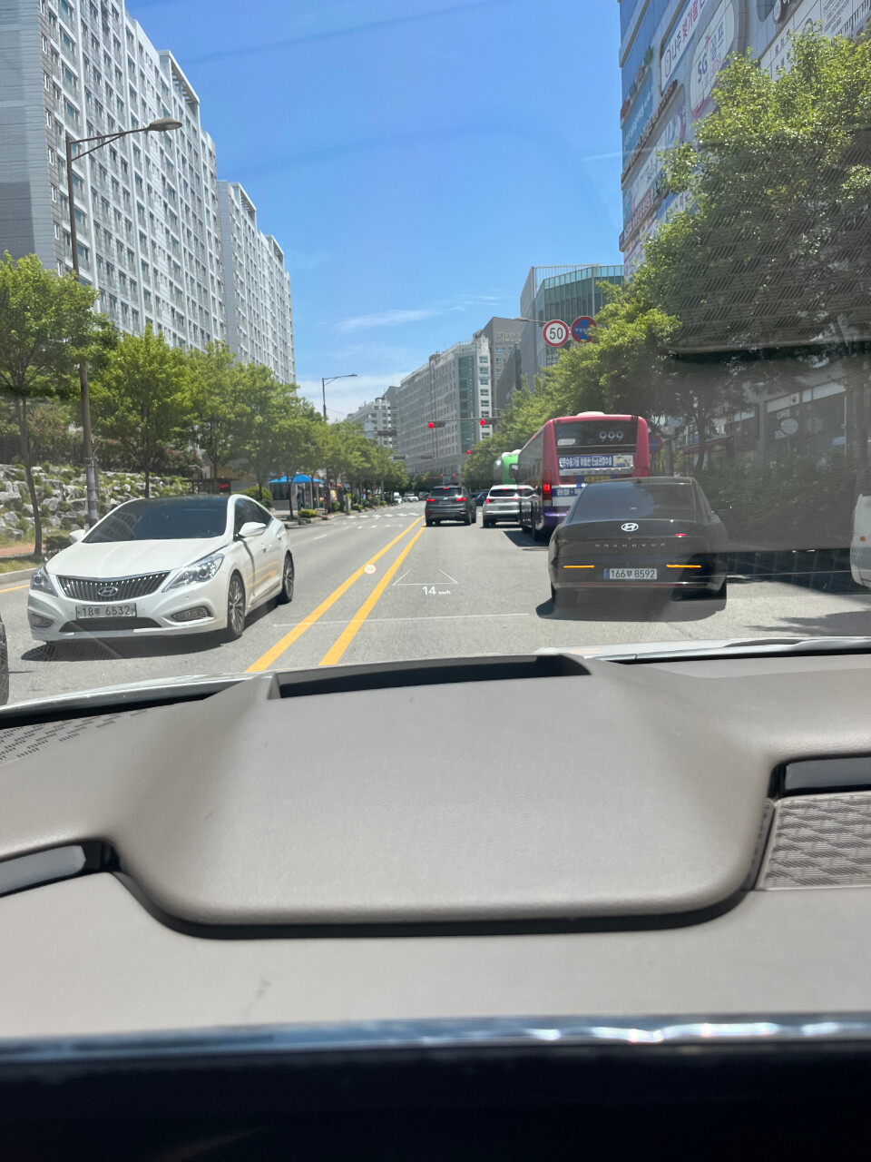 카니발 리뷰 이미지2