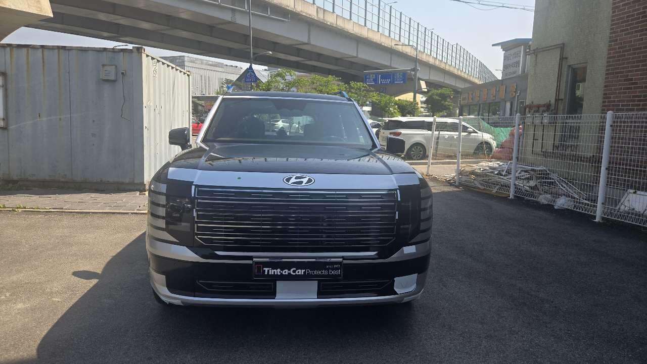 디올뉴펠리세이드 출고 했어요 이미지2